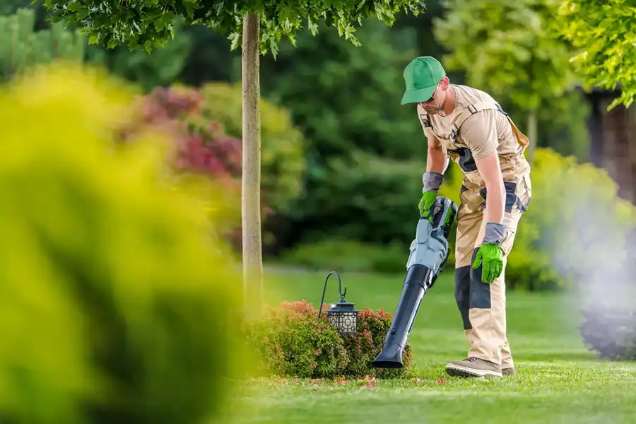 How To Clean A Backyard in Menifee, CA 