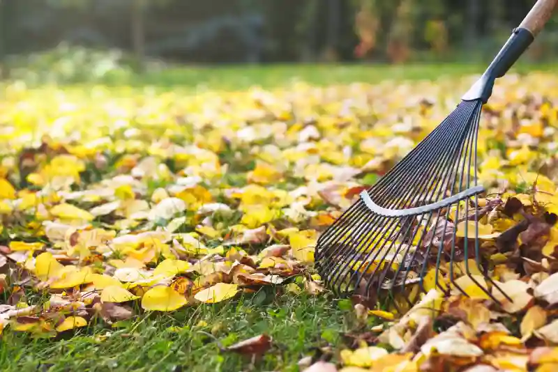 How to clear a yard full of weeds in Menifee, CA 