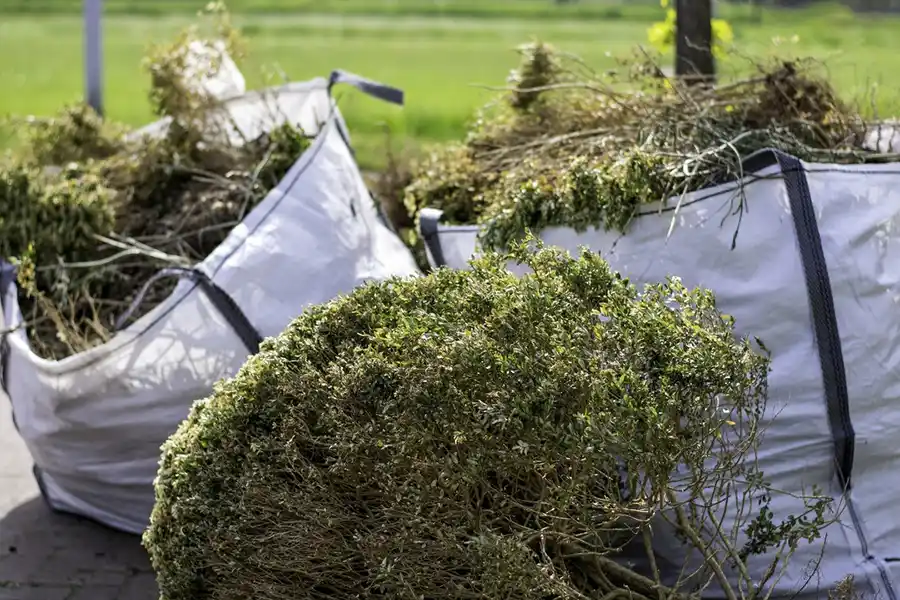 How to clear a yard full of weeds in Menifee, CA 