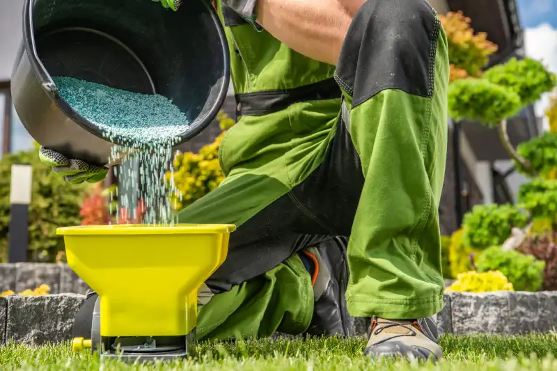 Professional Lawn Fertilization Service in Menifee, CA 