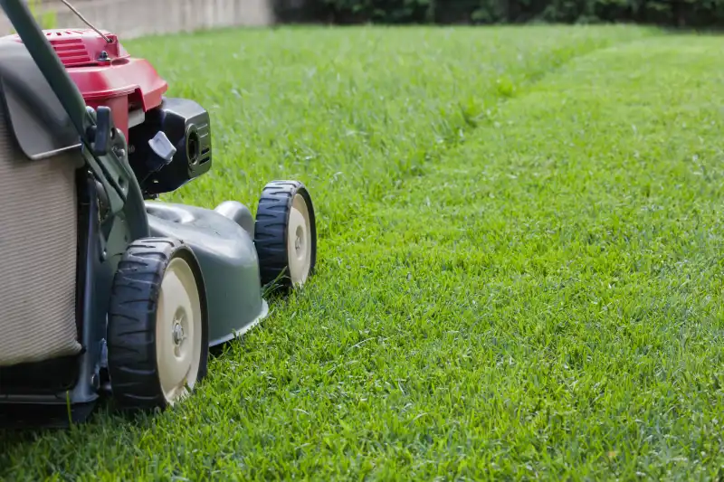 Professional Lawn Mowing Services in Menifee, CA 