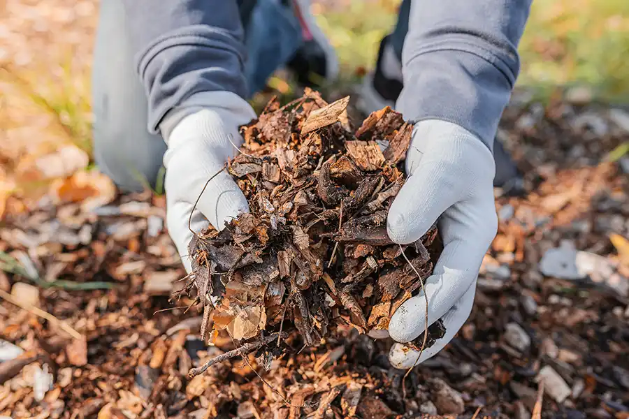 Outstanding Mulching Service in Menifee, CA