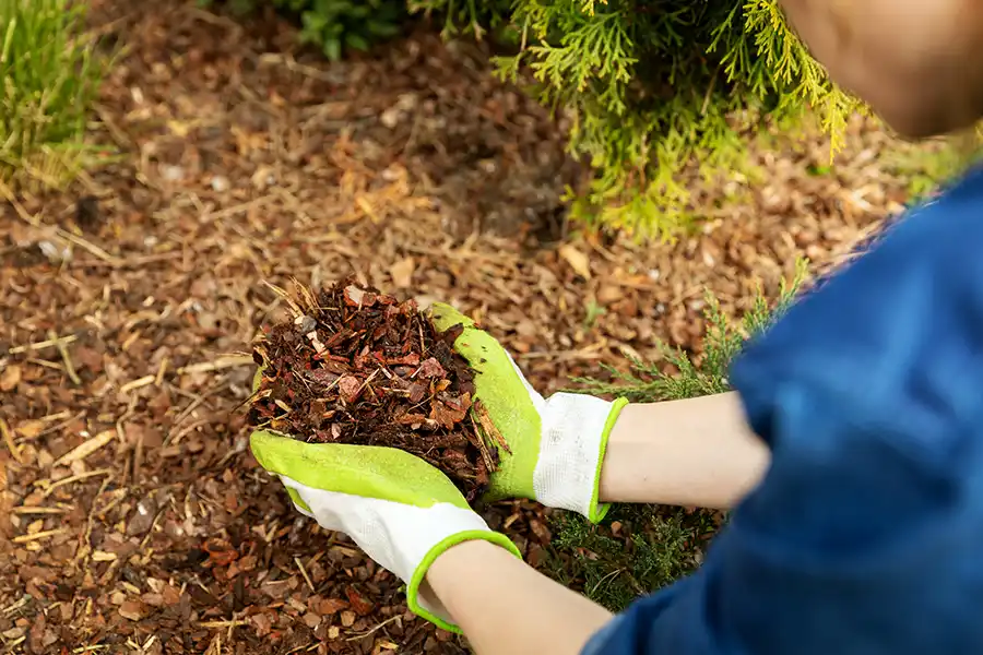 Reliable Mulching Service in Menifee, CA