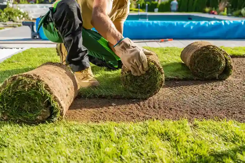 Professional Sod Installation Service in Menifee, CA 