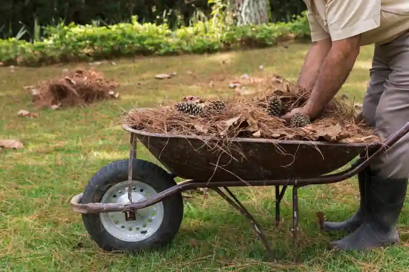 Reliable Yard cleanup Service in Menifee, CA 