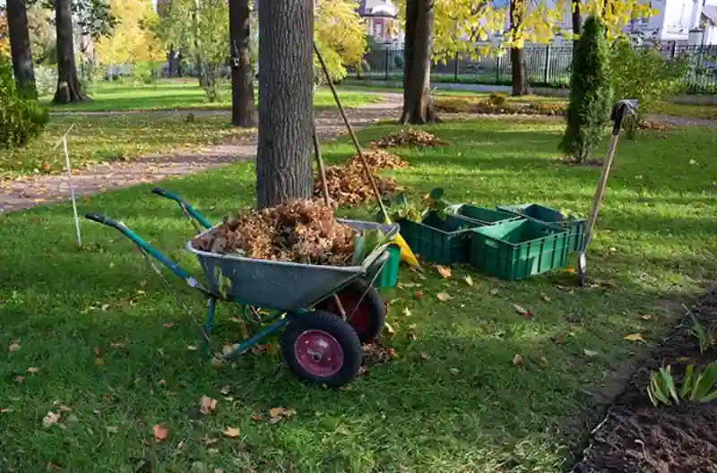 Professional Yard cleanup Service in Menifee, CA 